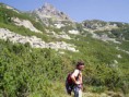 /album/osarpance-gerlach-2656m/a001zlomiskova-dolina-jpg/
